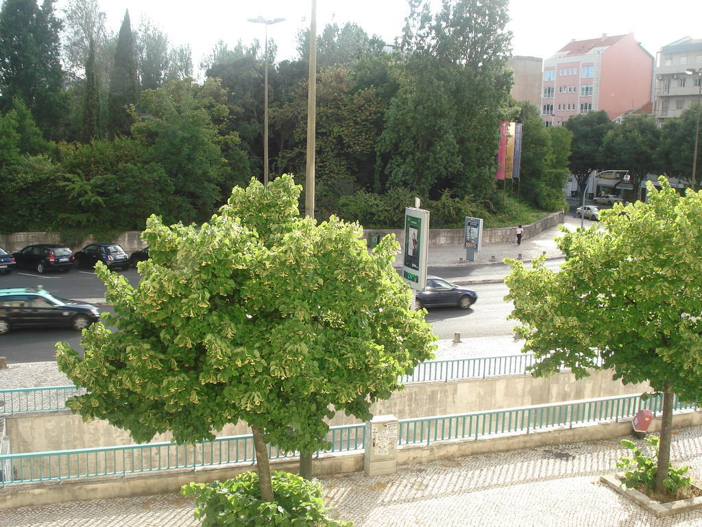 Center Garden Luxury Apartment Lisboa Phòng bức ảnh